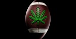 Houston Texans Cut 3 Players for Marijuana Use