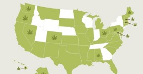 Marijuana Mentioned in 1,730 Pieces of Legislation This Year