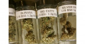 What’s in a Name? Marijuana Strain Names Will Have to Change if We Want to Win the Drug War