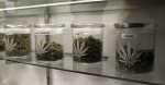 Second Medical Cannabis Dispensary Opens in New Jersey