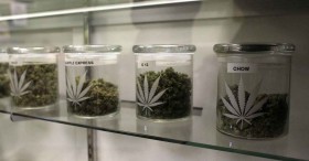 New Medical Cannabis Bills in California