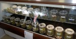 Medical Marijuana Dispensaries Fight Legalization…Again?