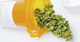 Czechs in Quandary Over Legal Medical Marijuana