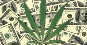 All Marijuana Tax Measures Pass: CO Really Wants That Money