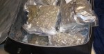 Florida Couple Accidentally Smuggles 11 Pounds of Marijuana