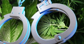 Marijuana Arrest Rate in Maryland Among Highest in US