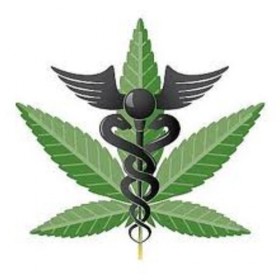 medical cannabis marijuana, Source: medical cannabis marijuana