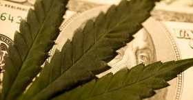 Capitalizing On Cannabis: New Leaders Emerge