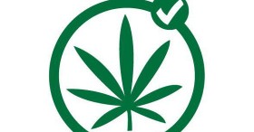 Miami Beachers Vote for Medical Marijuana