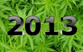 2013: The Year in Review – NORML’s Top 10 Events That Shaped Marijuana Policy
