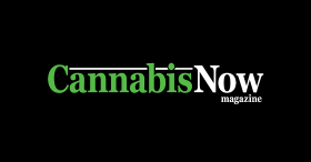 Apple Accepts Cannabis Now Magazine Into the App Store