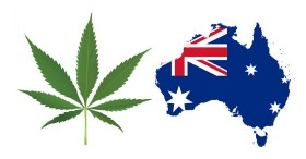Australian Doctors, Experts Join Call for Medical Marijuana