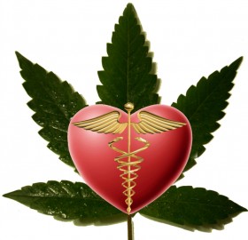 American Herbal Pharmacopoeia Classifies Cannabis as a “Botanical Medicine”