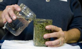 Taming Tinctures – Liquid Cannabis