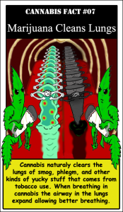 TItle: Above the Influence? How about the truth RE: Marijuana, Source:http://tokesignals.com/wp-content/uploads/2013/03/046-marijuana-cleans-lungs.png