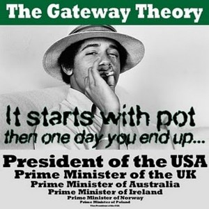 Title: The Truthiness of Marijuana Anonymous, Source: http://web-images.chacha.com/images/do-you-know-weed-fact-from-myth-may-25-2012-1-600x600.jpg