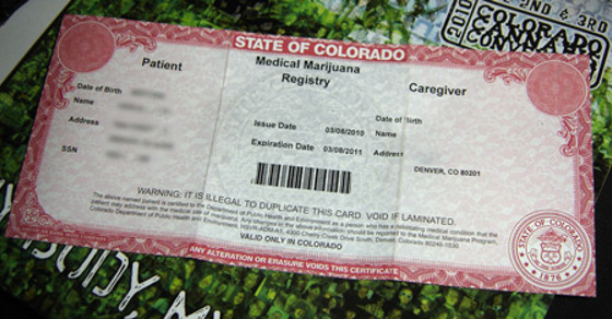 medical-marijuana-card-patient-colorado Source: http://www.tokeofthetown.com/2011/12/12/Colorado-Marijuana-Card-1.jpeg