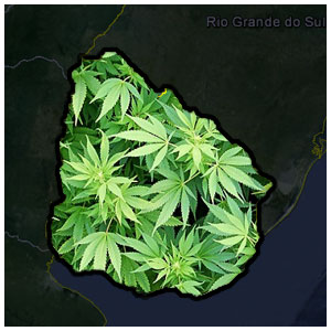 Title: Jose Mujica, 2016! His Vision for Cannabis in Uruguay, Source:http://cdn.theweedblog.com/wp-content/uploads/uruguay-marijuana.jpg
