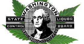 WA: Over 1,300 Applications So Far for Marijuana Businesses