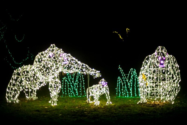 zoolights 2