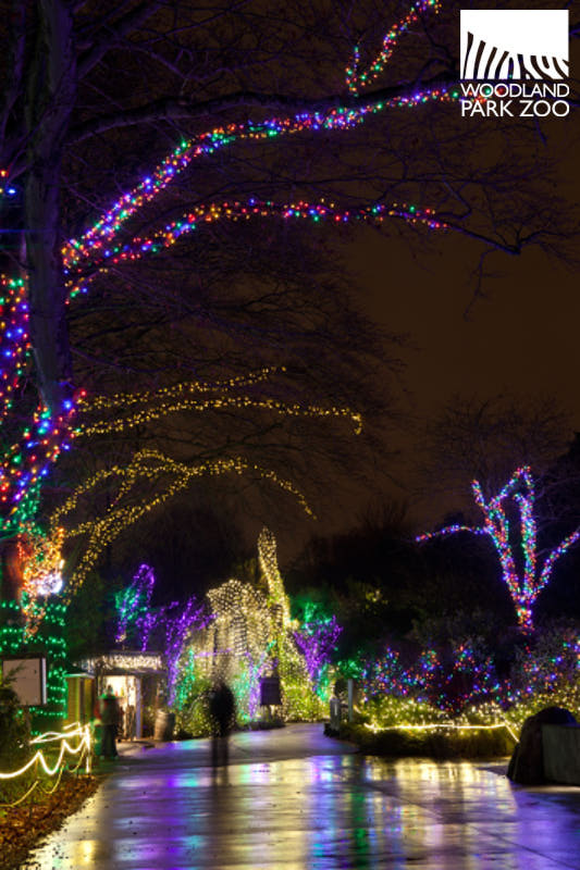 Title:Weed + ZooLights = Amazing, Source: http://0.tqn.com/d/seattle/1/0/2/E/-/-/Wildlights---Jeremy-Dwyer-Lindgren-Woodland-Park-Zoo.jpg