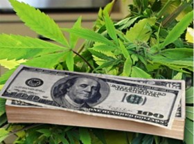 Michigan’s Medical Marijuana Program Has $23,000,000 Surplus