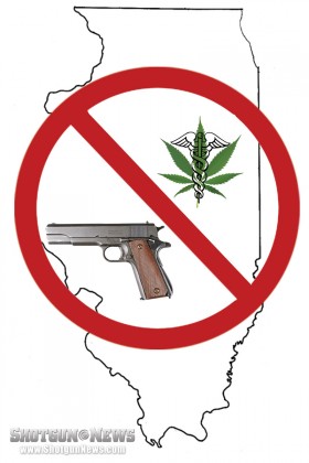 Want MMJ? Give Me Your Gun!