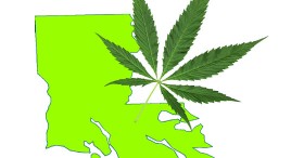 Louisiana Citizens to Lawmakers: We Want Medical Marijuana