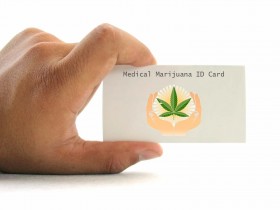 MMJ Users Likely a Different Demographic Than Recreational Marijuana (RMJ) Users