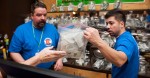 Weed Stocks Skyrocket After Colorado Sells $1M on First Day