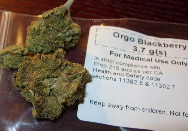 1024px-Blackberry_medical_cannabis - Michigan High Court Rules for Medical Marijuana, Source: http://stopthedrugwar.org/chronicle/2014/feb/06/michigan_high_court_rules_medica