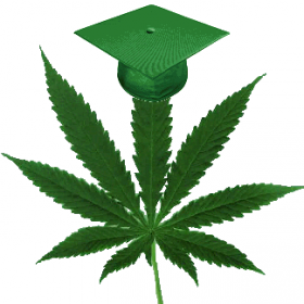Cannabis Goes To College: Top Five Pot-Friendly Campuses