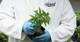 How to Get a Job in the Canadian Medical Marijuana Industry