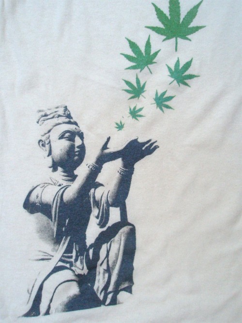 Title: Cannabis Not To Blame For Idiocy, Source: http://31.media.tumblr.com/tumblr_m1dsrdOZeN1qb0zaro1_500.jpg