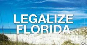 Florida Legislators Introduce Two MMJ Initiatives