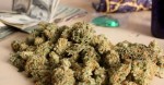 Marijuana Will Be the Best Investment Idea of the Next Decade