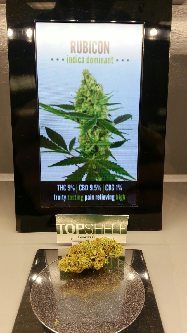 my favorite strains rubicon - high cbd marijuana, Source: Prospero weedist