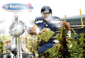 Seahawks, Cannabis, and the NFL