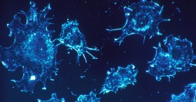 Molecular Biologist Explains How THC Kills Cancer Cells