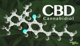 CBD-Only Legislation Will Likely Be Unworkable For Most Patients