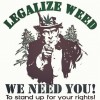 Congressional Research Service Discusses Dangers of Marijuana Prohibition