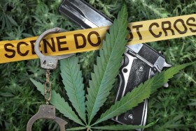 DC Marijuana Decriminalization Bill Signed