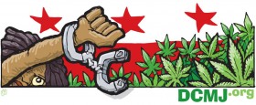 DC Marijuana Legalization Initiative Approved for Signature-Gathering