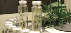 Drug Made From Cannabis Could Treat Schizophrenia
