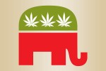 Marijuana Industry Finds Unlikely New Allies in Conservatives