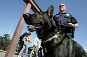 Study: Drug Dogs Most Likely to Err in Traffic Stop Scenarios