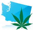 Washington State Issues First Legal Marijuana License