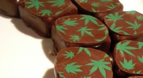 An Experiment With Edibles