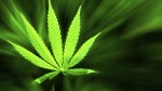 ‘Bud and Breakfast’ Joins Emerging Marijuana-Friendly Colorado Hotels
