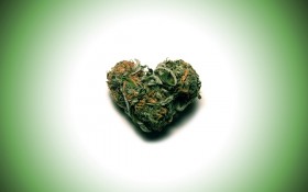 Cannabis Causes Cardiovascular Apocalypse… Maybe.